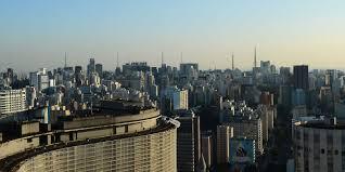 Prédios com vidraças nas cidades ameaçam aves, aponta pesquisa 