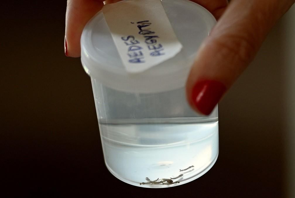 Secretaria de Saúde de Campinas confirma mais oito mortes por dengue