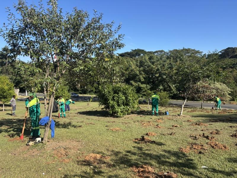 Valinhos lança projeto de microfloresta urbana no Dia Mundial do Meio Ambiente