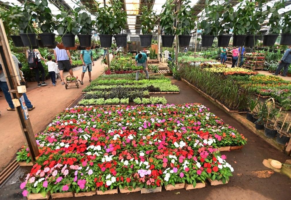 Ceasa celebra aniversário de Campinas com evento “Flores e Sabores” e distribuição gratuita de Sopa de Cebola