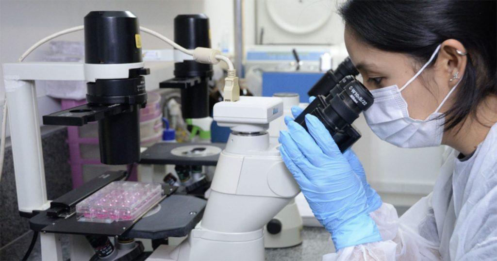 Células de tumor agressivo do melanoma são eliminadas por composto à base de metal raro, mostra estudo