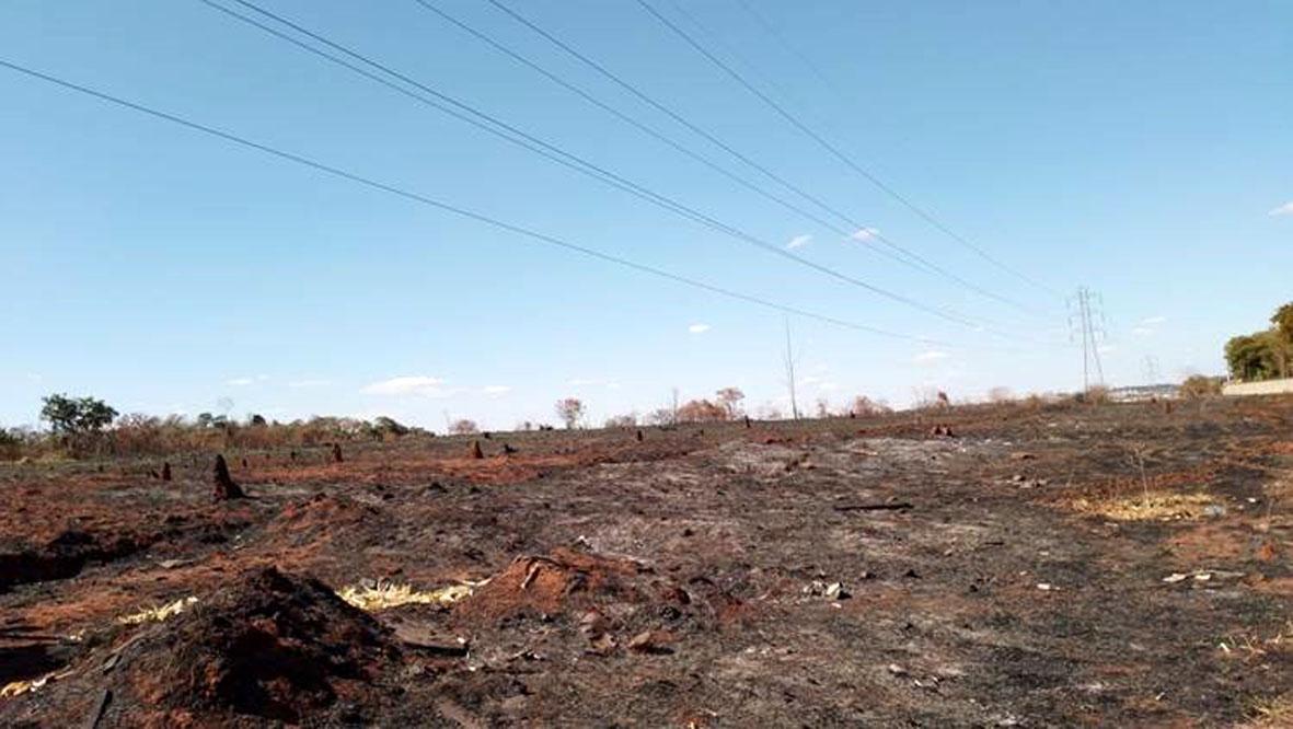 CPFL Paulista se mobiliza para garantir o fornecimento de energia no período de queimadas
