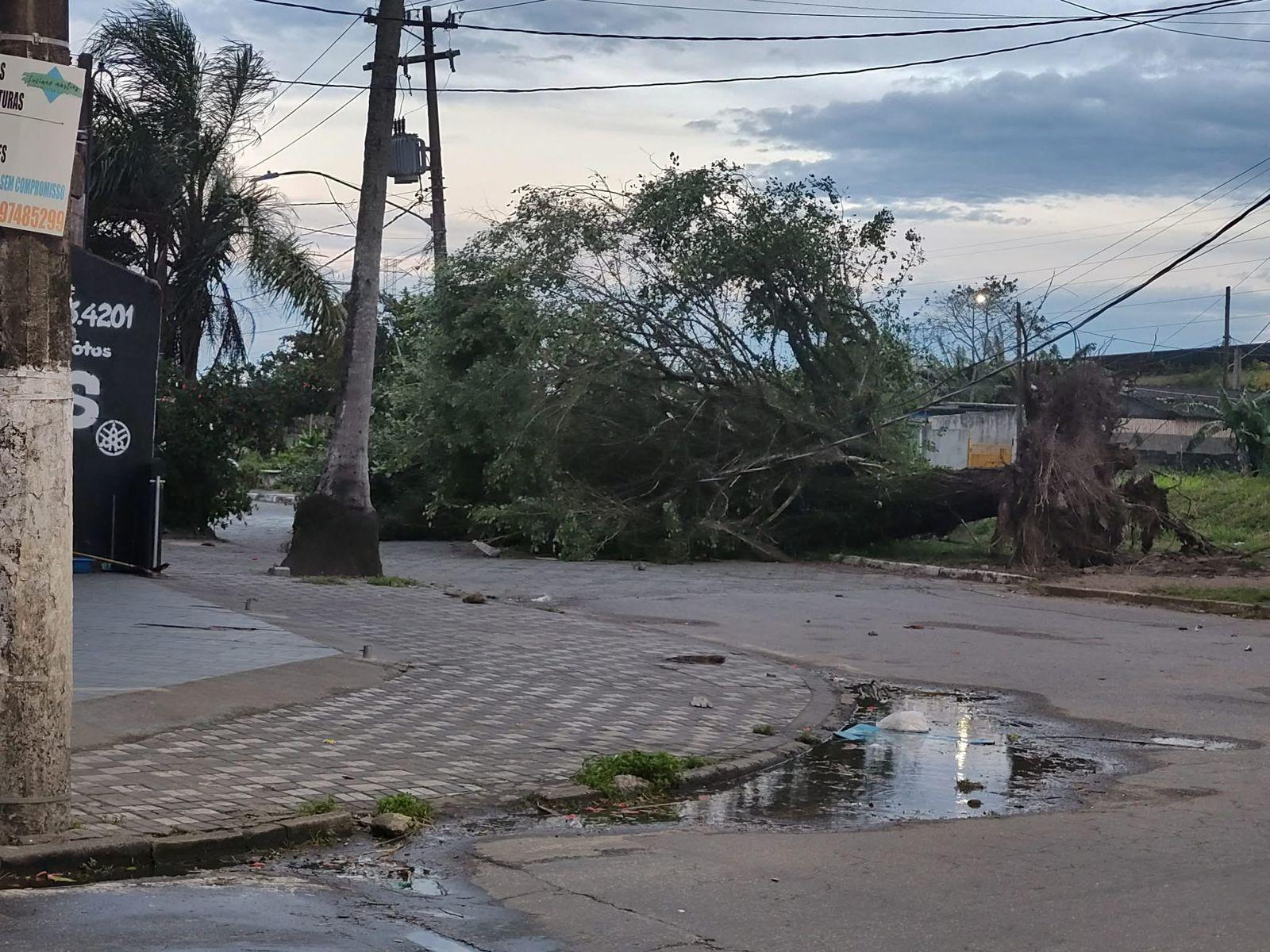 Defesa Civil envia equipes após ciclone extratropical e ventos de mais de 100 km/h causarem transtornos no estado de SP