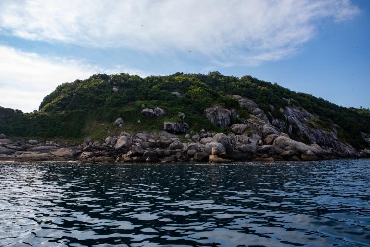 Incêndios, náufragos e até tesouro: veja curiosidades sobre a Ilha das Cobras, no litoral sul de SP
