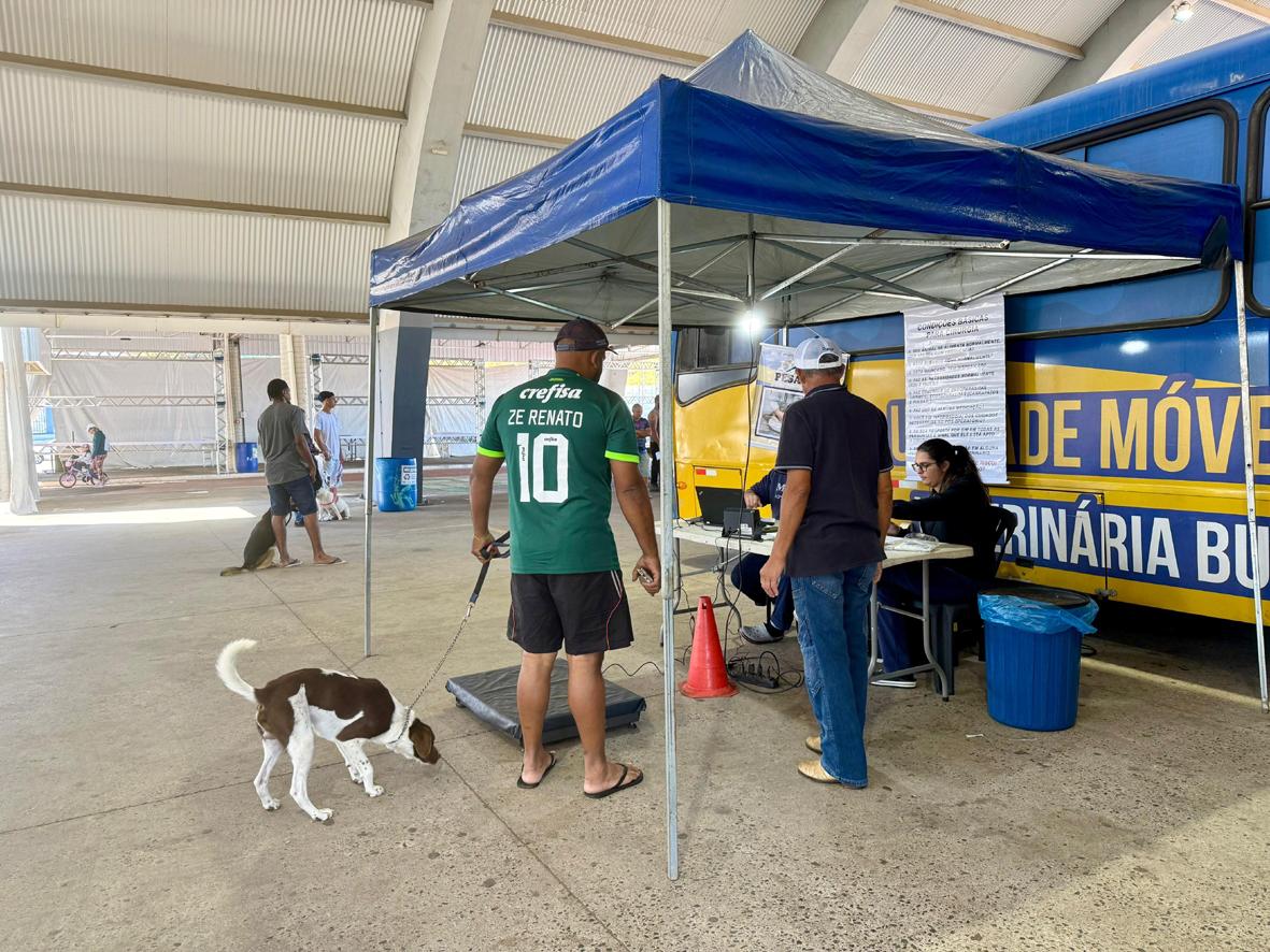 Itatiba castra 161 cães e gatos no quarto mutirão do ano da Cobema 
