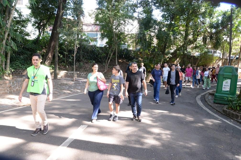 Projeto contará histórias de lendas brasileiras em passeio noturno no Bosque dos Jequitibás em Campinas