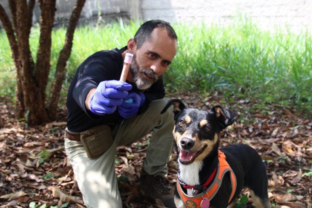 ‘Vira-lata’ que detecta sangue humano se torna o 2° cão perito da Polícia Científica de SP