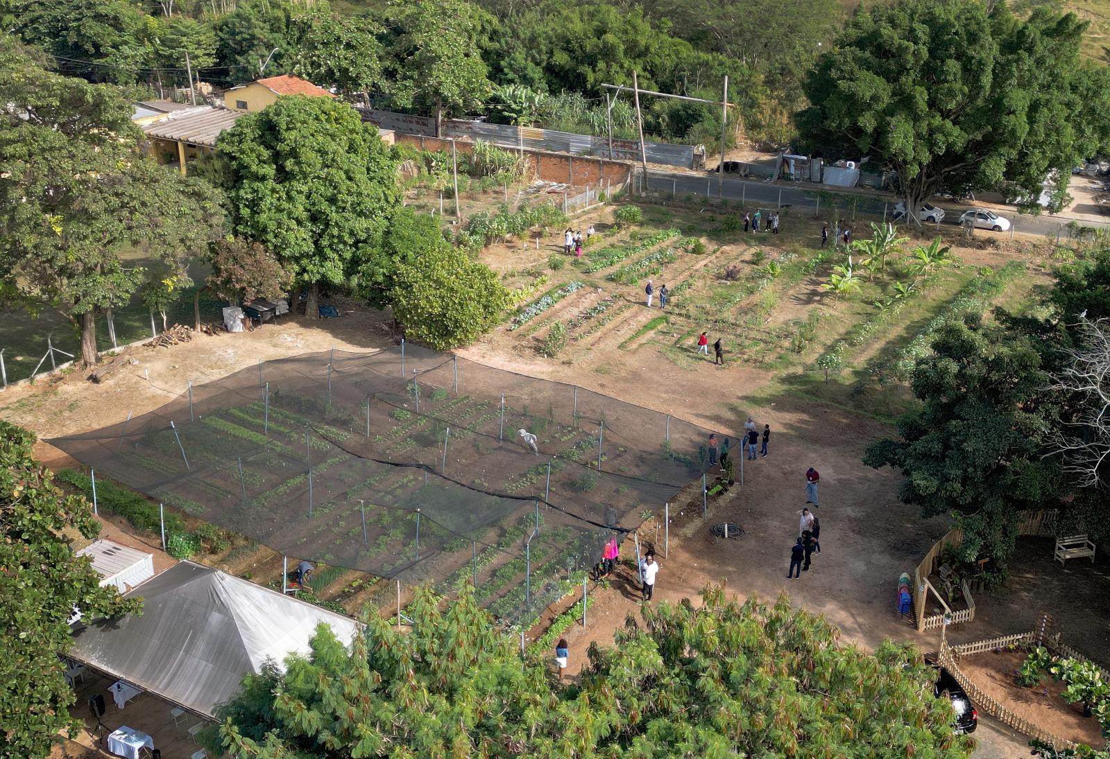 Horta comunitária de Campinas é premiada em concurso nacional