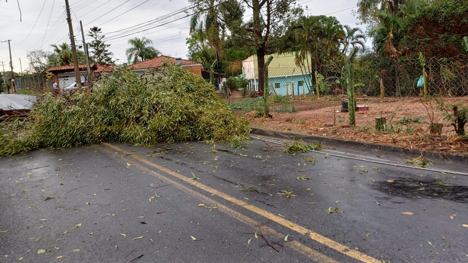 Após forte tempestade desta segunda (22), Prefeitura de Louveira intensifica ações de limpeza na cidade