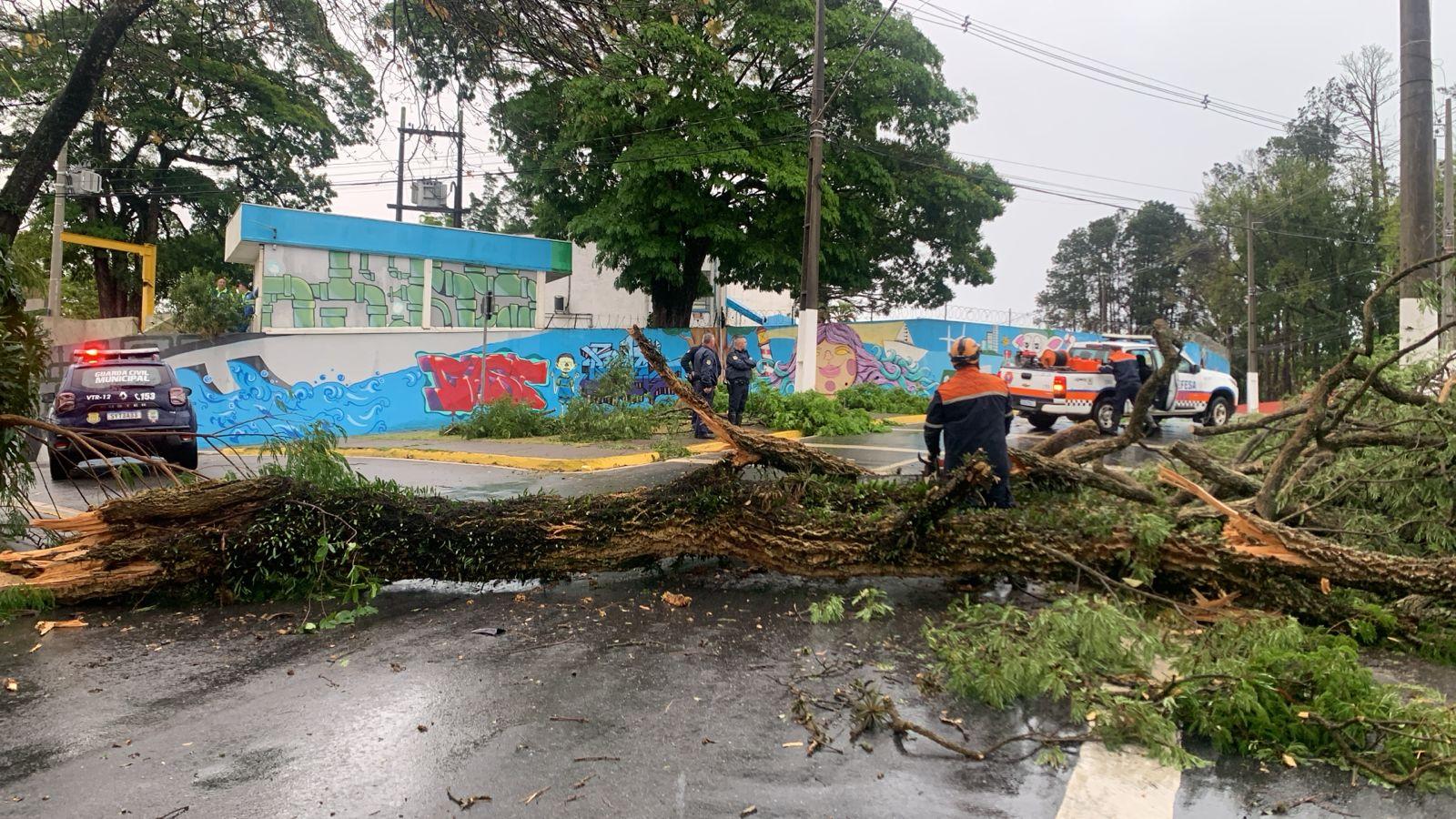 Bragança Paulista registra 80 ocorrências devido aos fortes ventos desta segunda-feira