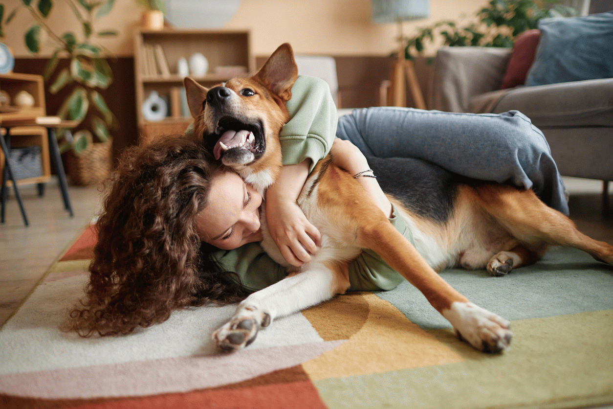 Cães que conquistam os brasileiros: conheça as principais raças do país