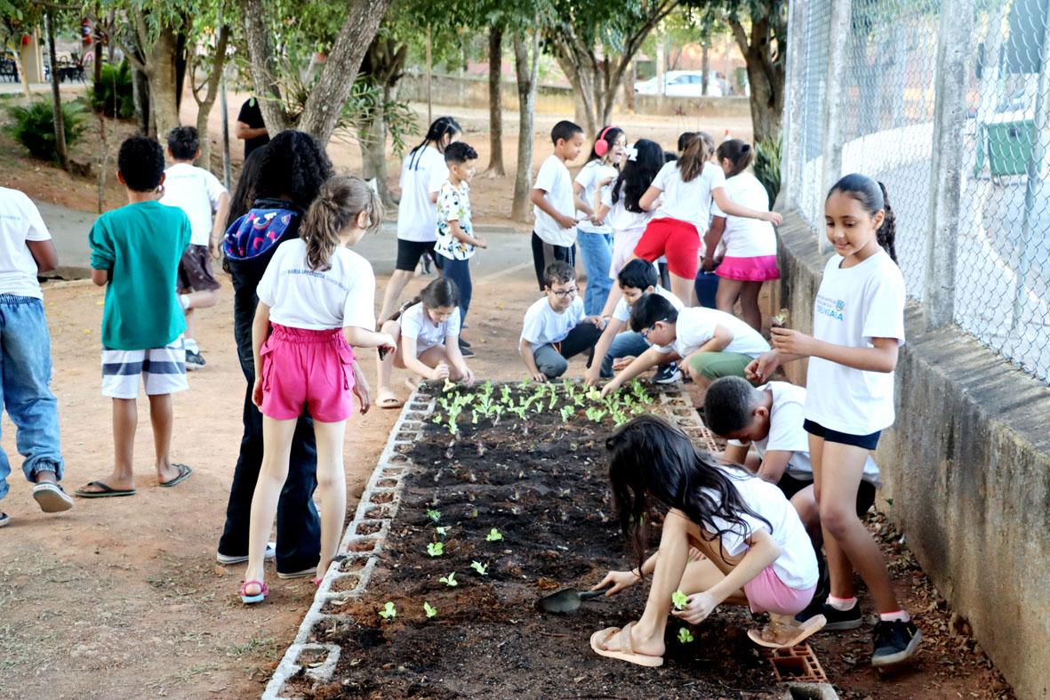 Em Morungaba: alunos da EMEF Maria Apparecida participam de plantio de horta escolar