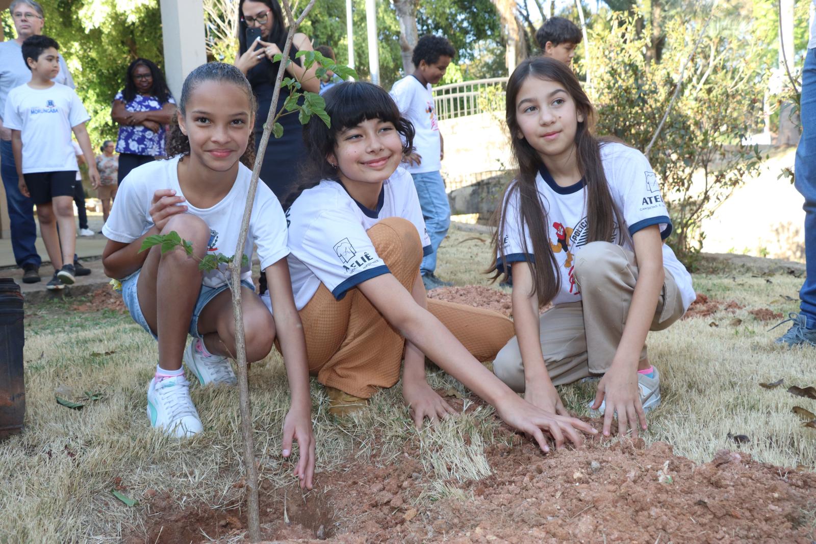 Em Morungaba: Dia da Árvore é celebrado com Plantio na Praça do Artesanato