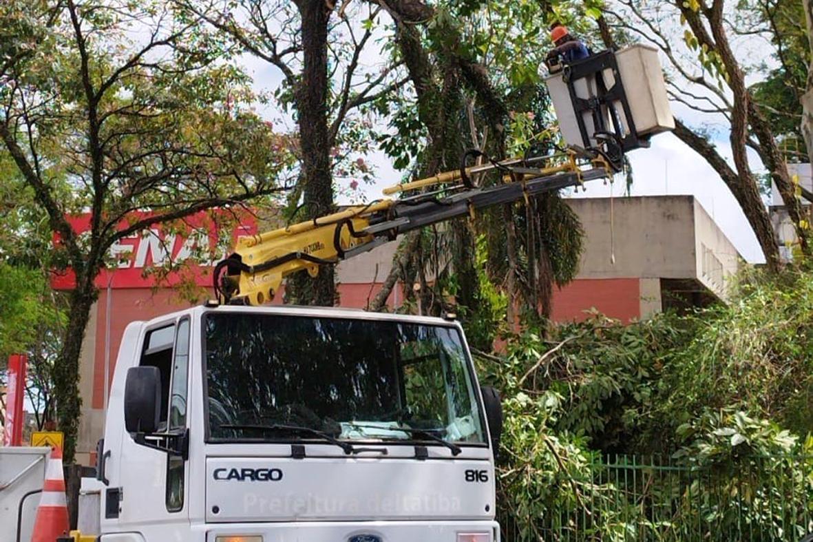 Equipes municipais trabalham para limpar cidade após tempestade