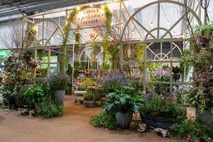 Evento traz novidades e tendências em flores e plantas para a Primavera, Finados e Natal