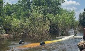 FAB intercepta aeronave suspeita procedente do Peru