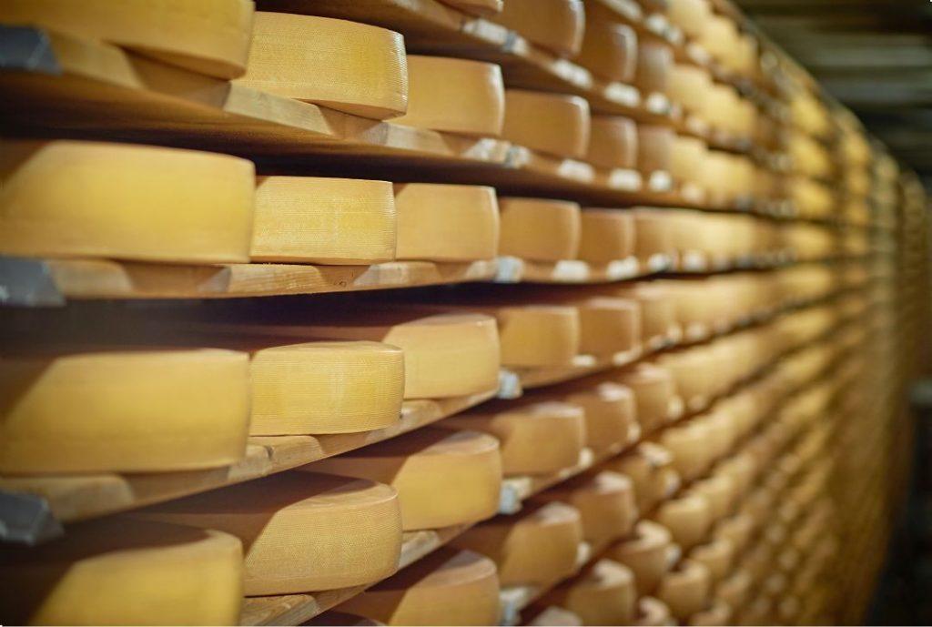 Governo de SP lança a Rota do Queijo Paulista e abre inscrições para produtores