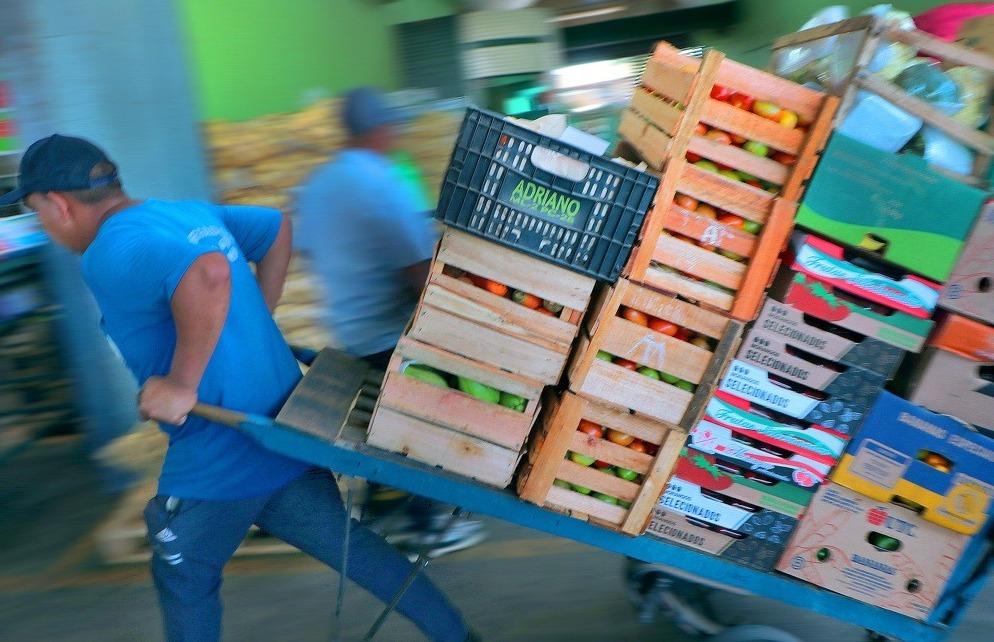 Sacolômetro Ceasa: cebola cai 14,3% e abobrinha despenca 32,7%; mamão havaiano lidera altas com 51,3% 