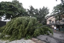 SP: Chuva, ventos fortes e queda de árvores deixam 900 mil sem energia