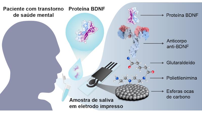Biossensor desenvolvido pela USP identifica na saliva proteína ligada à depressão e esquizofrenia Biossensor desenvolvido pela USP identifica na saliva proteína ligada à depressão e esquizofrenia