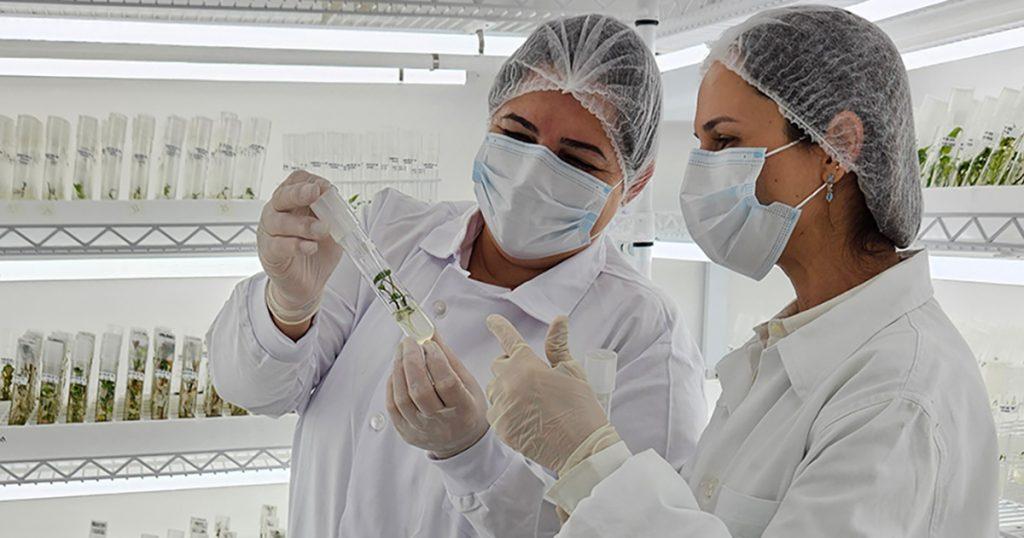 Biossensor desenvolvido pela USP identifica na saliva proteína ligada à depressão e esquizofrenia