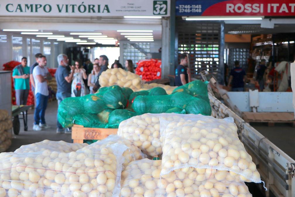 Em semana de contrastes, tomate retrai 42,9% e batata inglesa dispara 45,5% na Ceasa Campinas