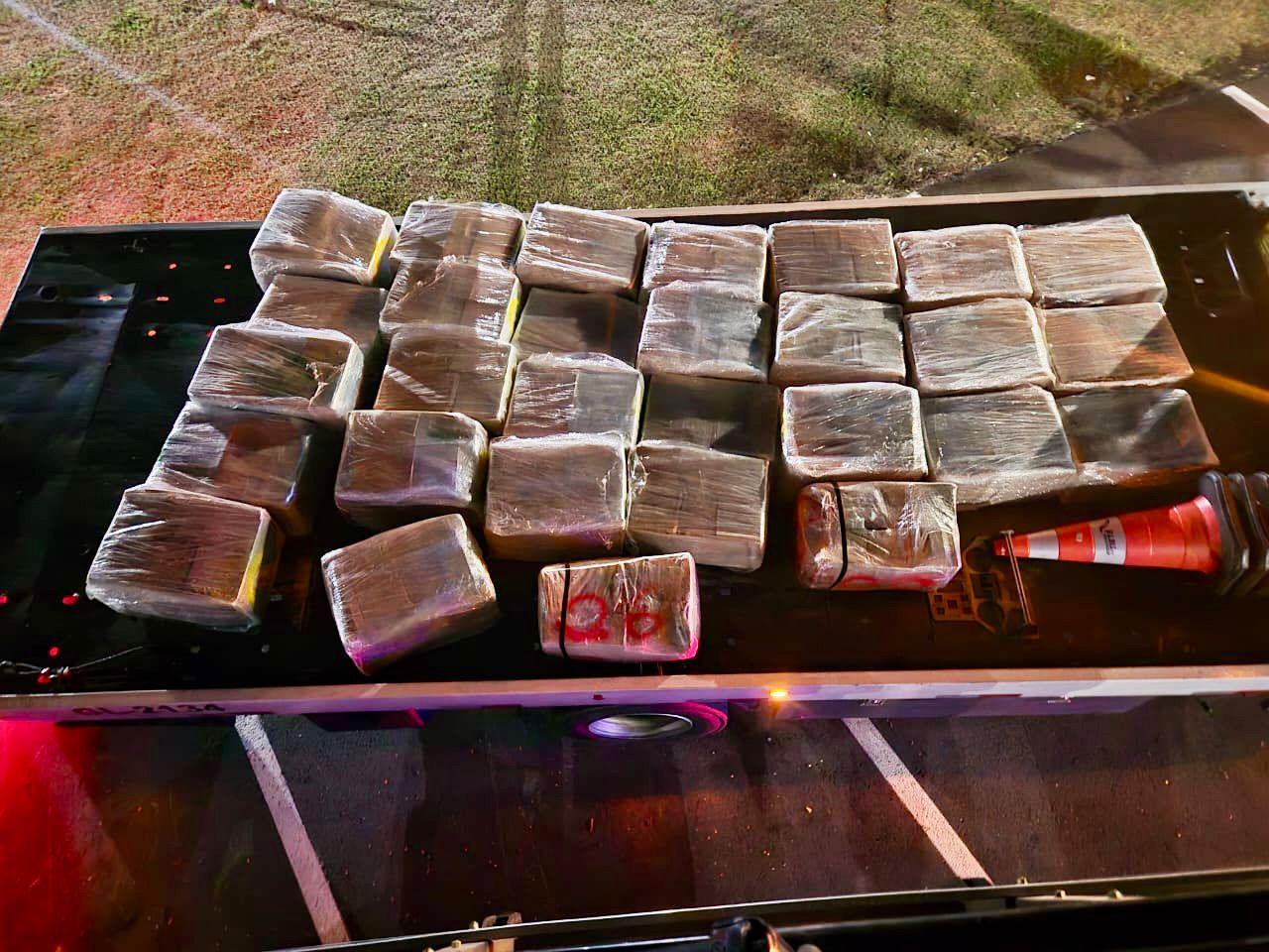 PM Rodoviária apreende uma tonelada de maconha na Castello Branco; total do ano já supera 2024