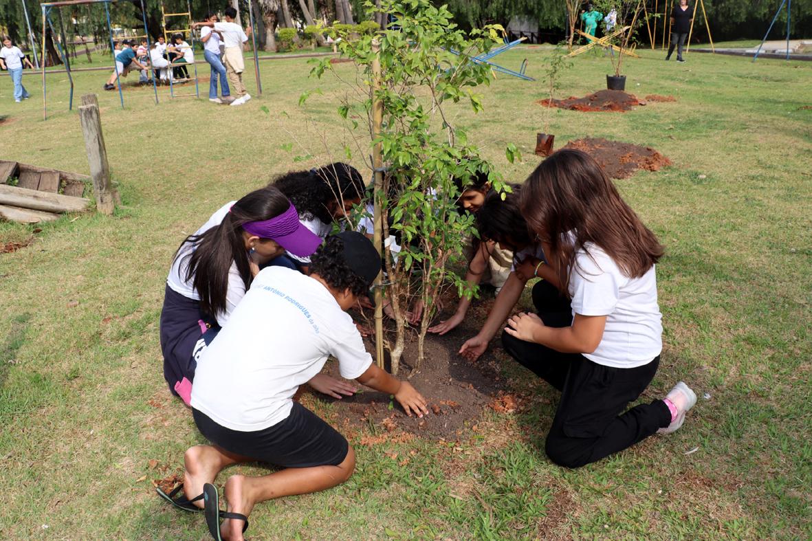 Plantio de mudas frutíferas abre programação do “Brinca Morungaba”