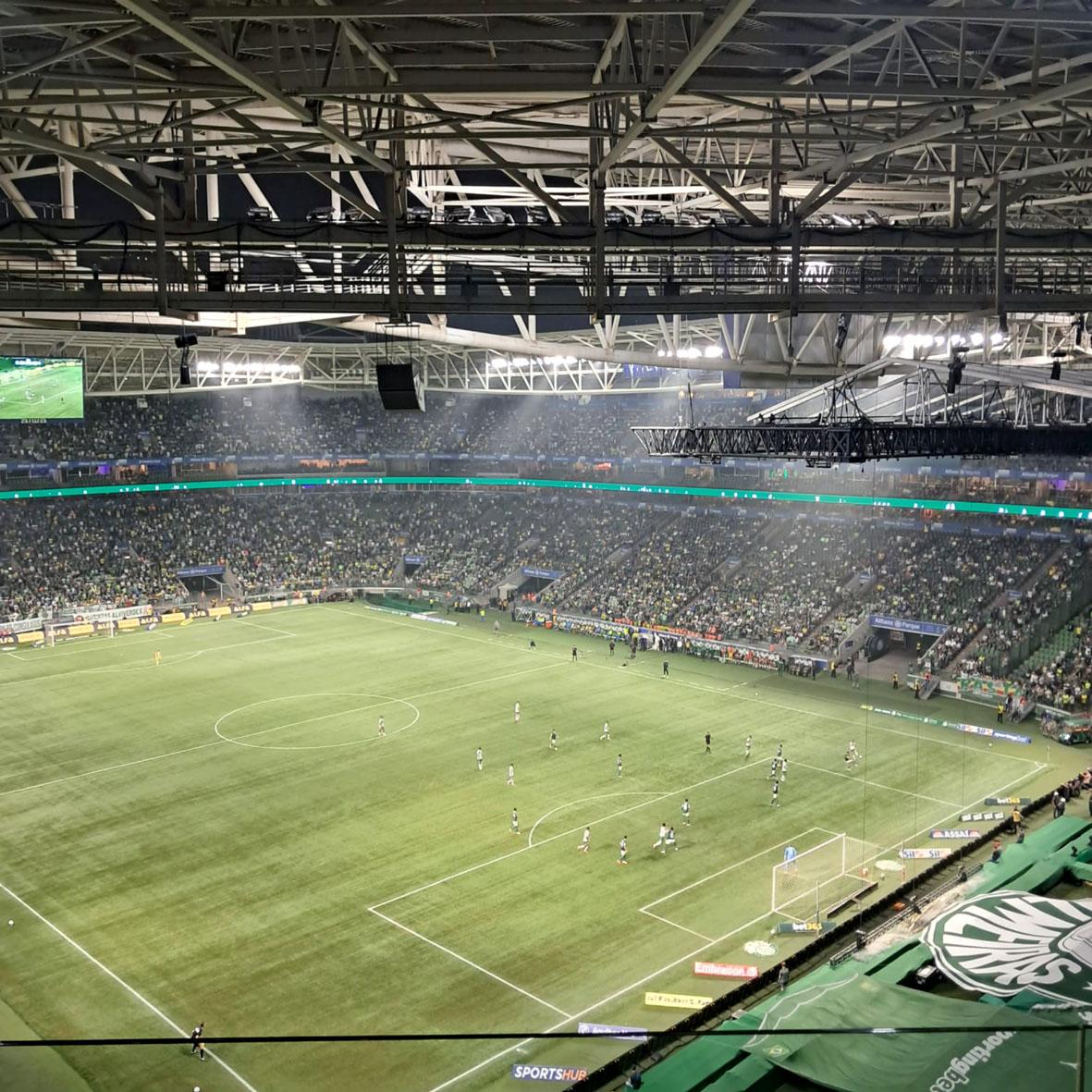 Santa Casa e Parque Mirante estreiam parceria com goleada do Palmeiras no Allianz