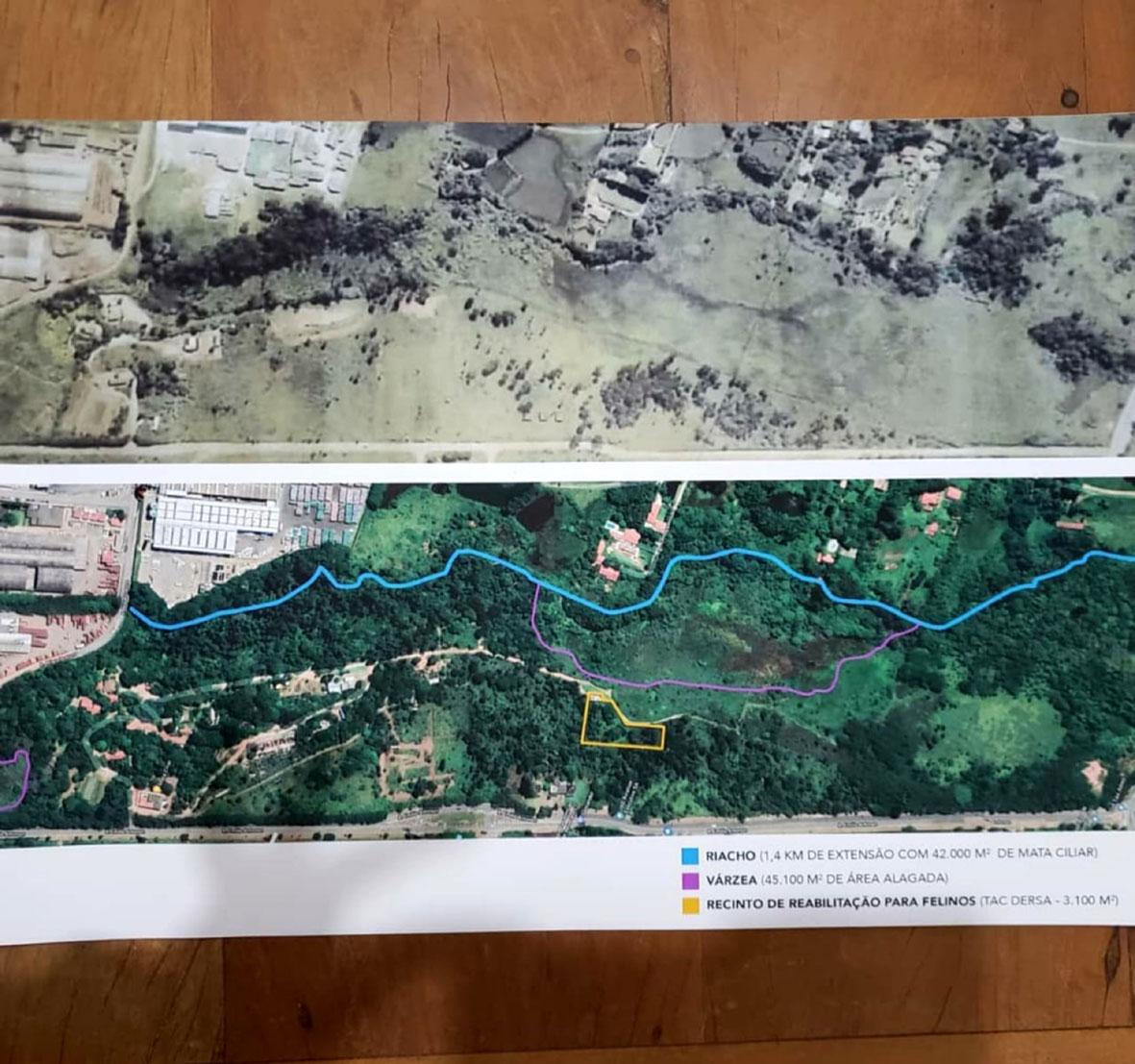 Audiência pública na Alesp defende permanência da Associação Mata Ciliar em Jundiaí