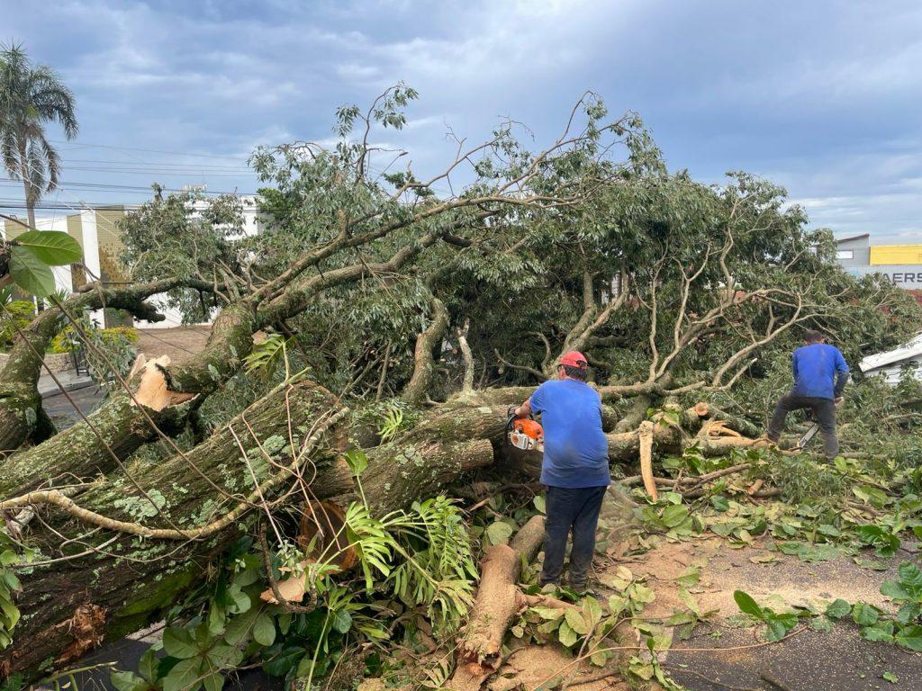 Defesa Civil mobiliza equipes para apoiar municípios de SP atingidos pelas fortes chuvas