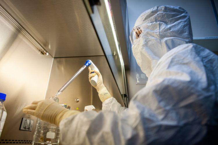 Instituto Butantan firma parceria para desenvolver terapia de anticorpos pioneira contra febre amarela