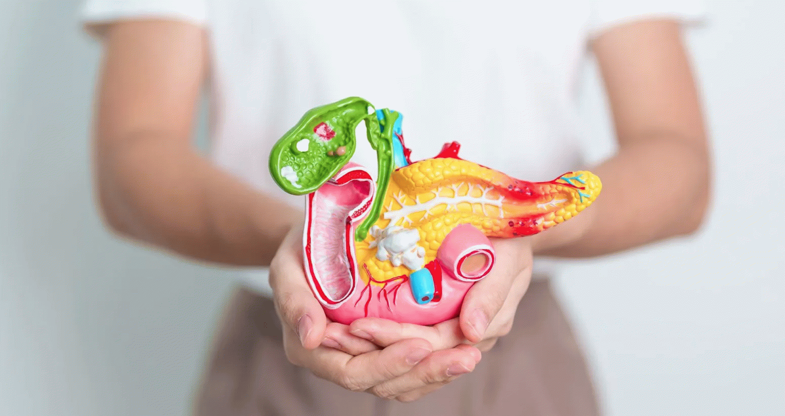 Novembro Roxo: 5 hábitos alimentares que ajudam a prevenir o câncer de pâncreas