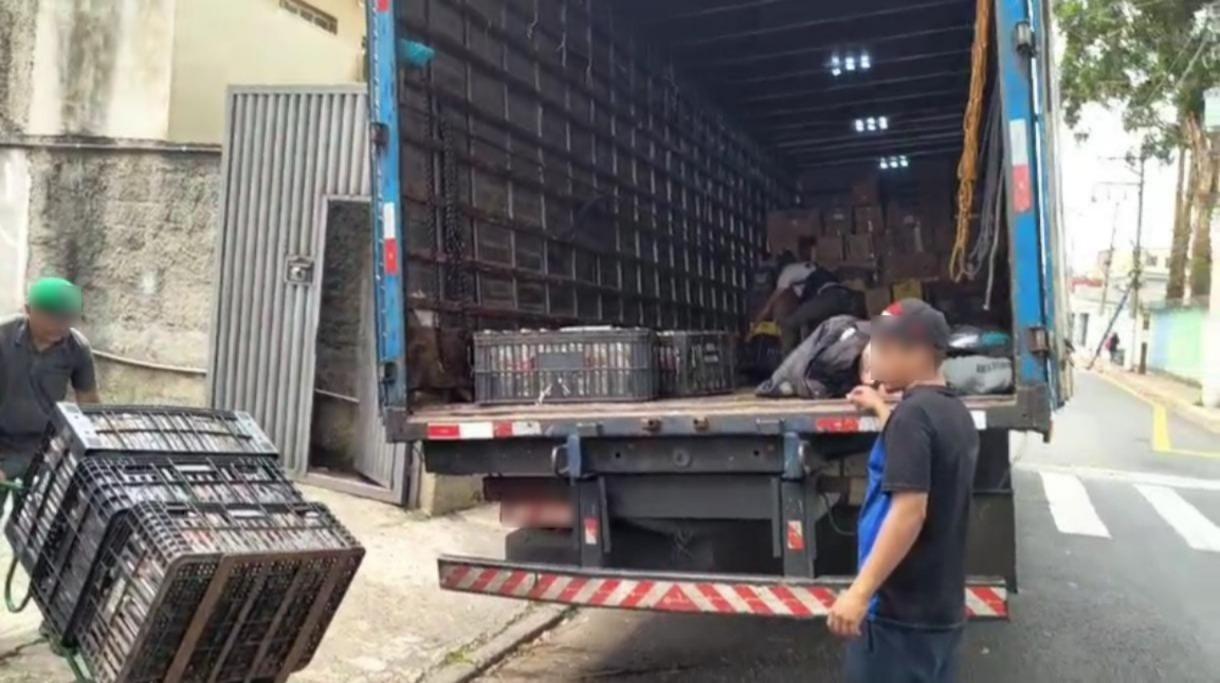 Operação contra falsificação de bebidas em SP termina com 5 presos e 510 mil garrafas apreendidas