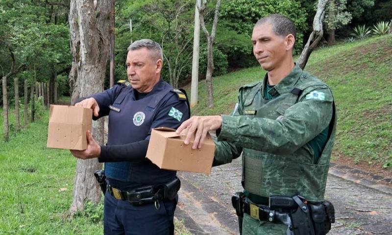 Parceria entre GCM Ambiental e Associação Mata Ciliar devolve aves à natureza em Valinhos