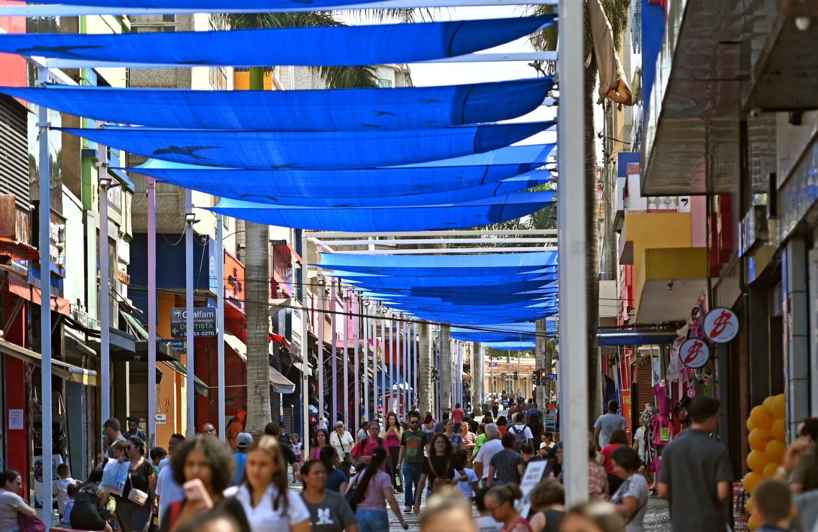 Procon Campinas divulga cartilha com dicas sobre a Black Friday  