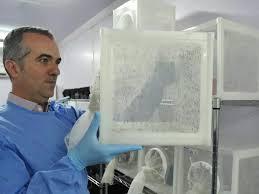 Brasileiro criador do 