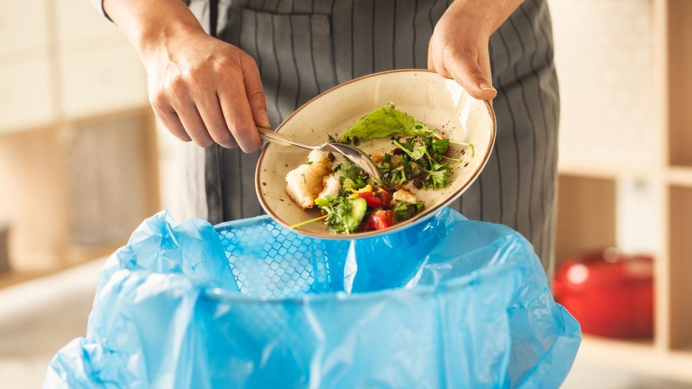 Conservação de alimentos e sustentabilidade: a importância da tecnologia no combate ao desperdício doméstico