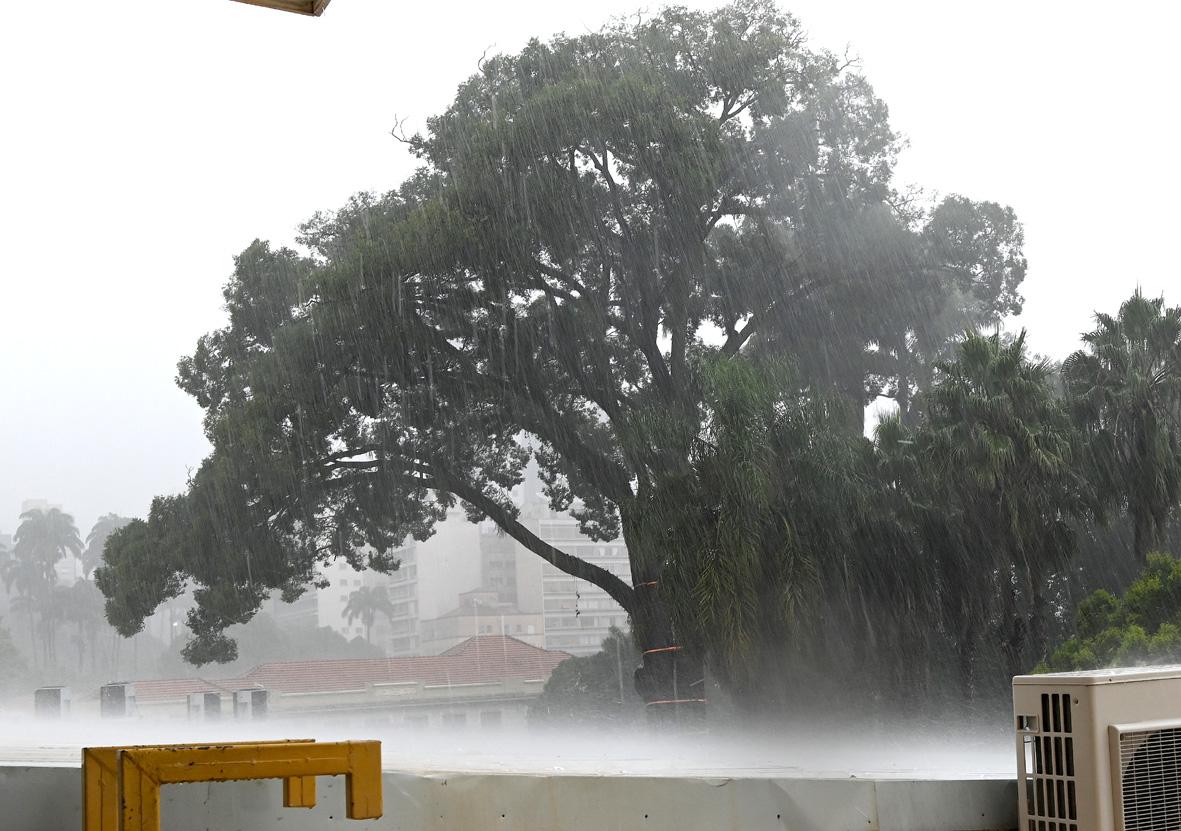 Itatiba registra 45 mm de chuva em 24 horas; Defesa Civil relata quedas de árvores