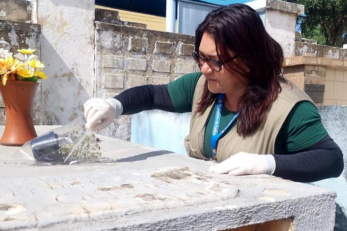 Itatiba inicia 2026 intensificando busca por larvas no combate à dengue Itatiba inicia 2026 intensificando busca por larvas no combate à dengue