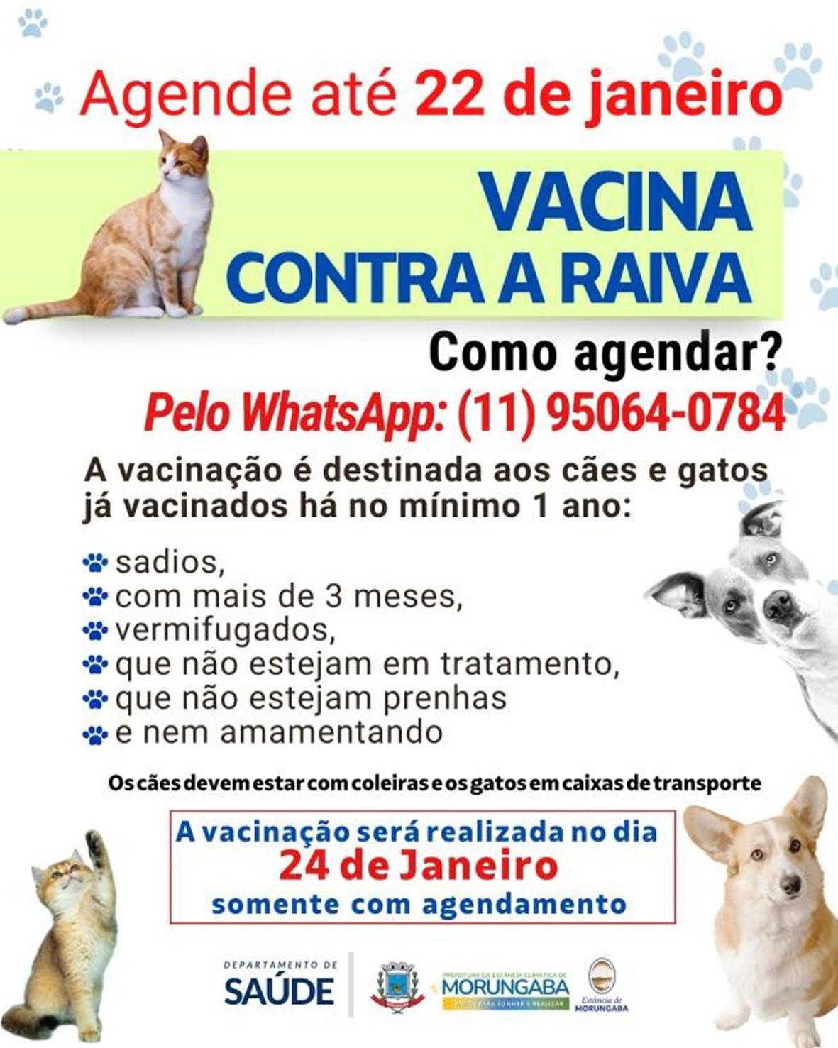 Vacinação antirrábica para cães e gatos em Morungaba é realizada com agendamento