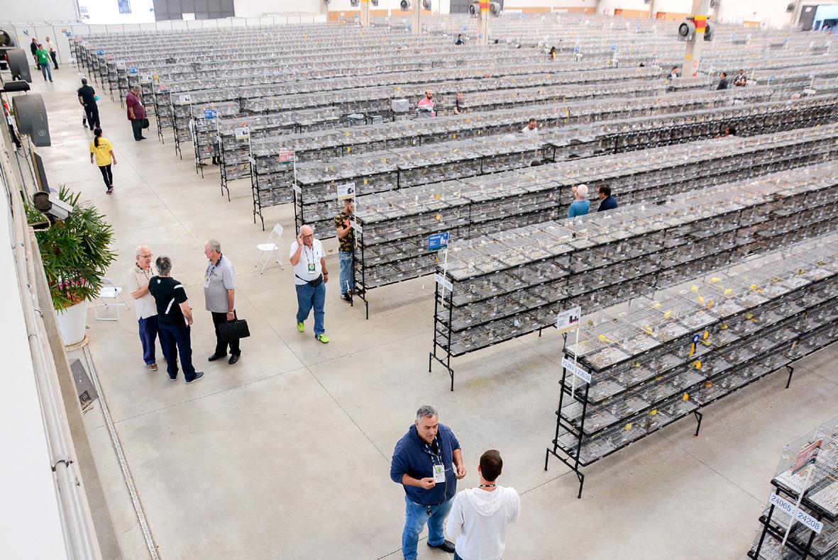 Campeonato Brasileiro de Ornitologia – Expoaves 2026 acontece em julho em Itatiba