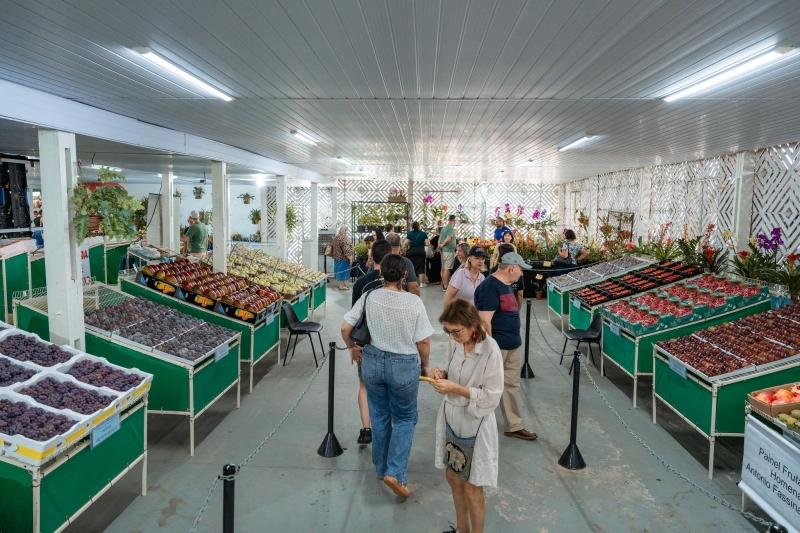 Fruticultura de Valinhos cresce 24,6% e fatura R$ 64 milhões com exportações em 2025