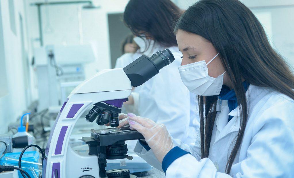 Medicamento para osteoporose mostra potencial contra doenças causadas por excesso de ferro