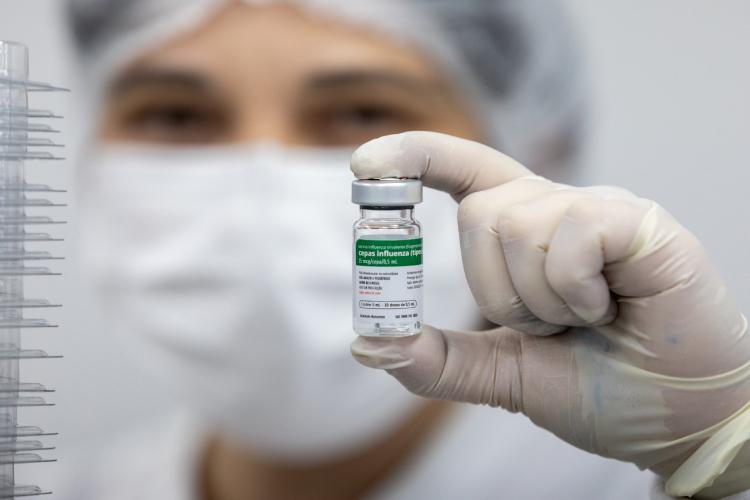 Instituto Butantan entrega primeiros 6,9 milhões de doses da vacina da gripe de 2026 destinadas ao SUS