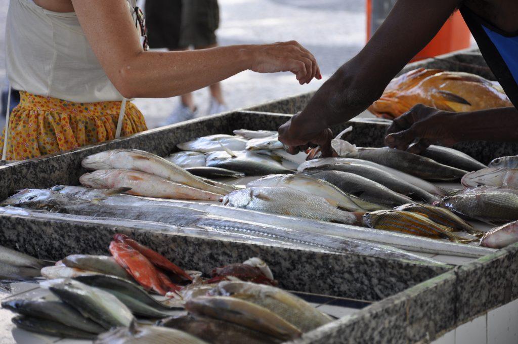 Ipem-SP alerta sobre cuidados na compra de pescados durante a Quaresma