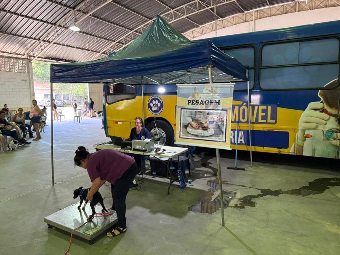 Mutirão de castração atende 168 animais e reforça controle populacional em Morungaba