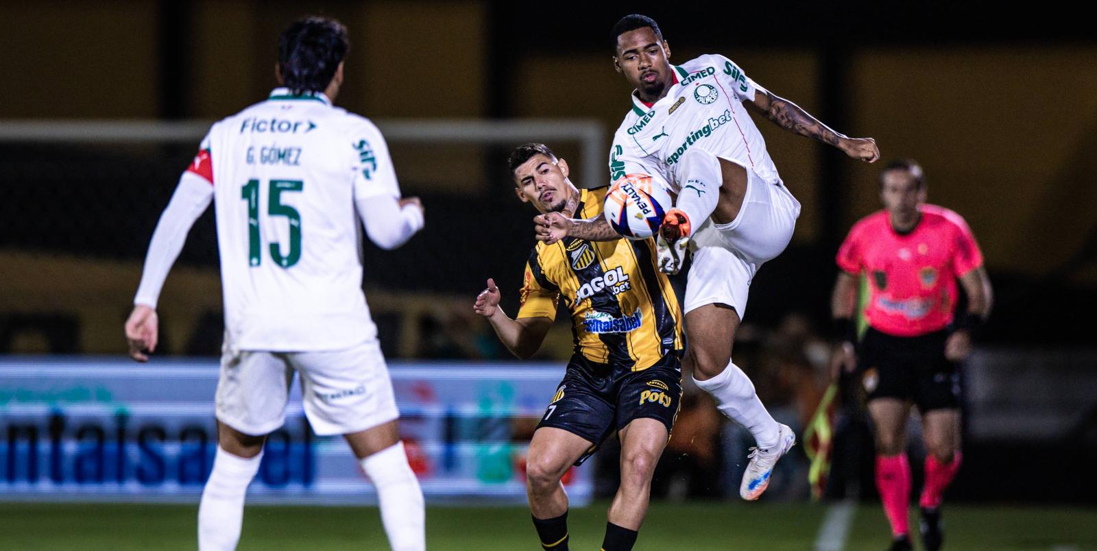 Palmeiras e Novorizontino abrem disputa pelo título