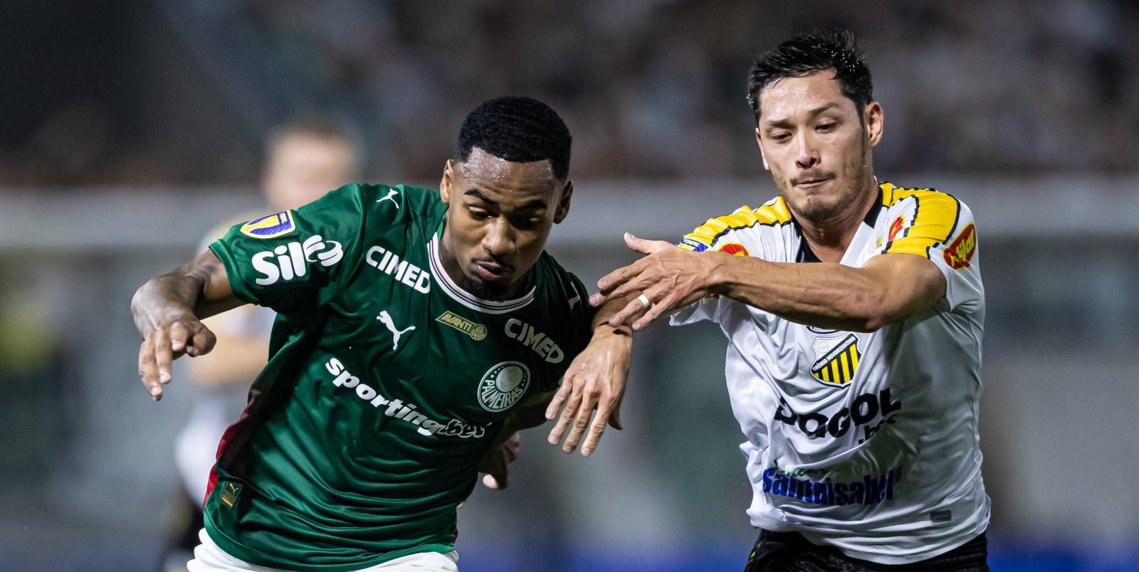 Palmeiras ganha novamente do Novorizontino e conquista 27º título do Paulistão