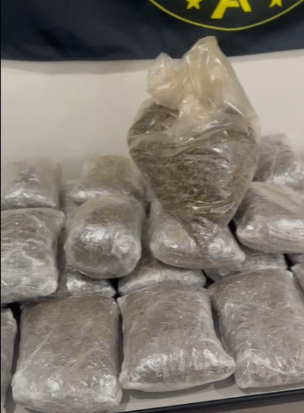 Força Tática prende dois homens com quase 15 quilos de maconha em Bragança Paulista